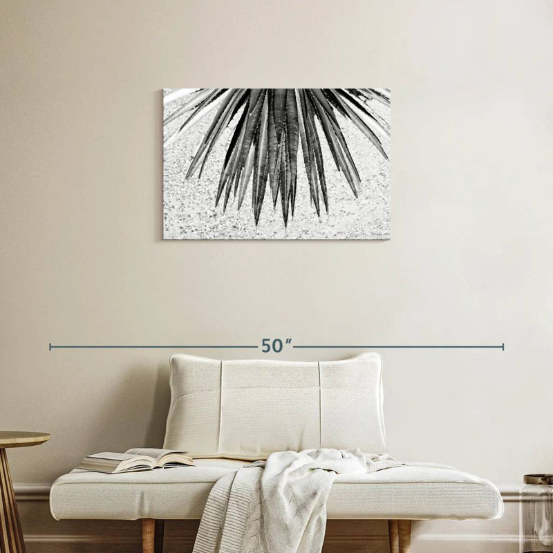 Harnek Black Arizona - Aloe Vera, 20" H x 30" W