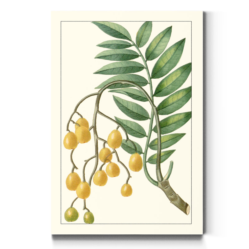 «Turpin Exotic Botanical IX», reproduction d'art sur toile tendue, H 20 po x l 16 po x P 1 po