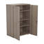 Buariki 2 -Door Storage Cabinet-16413409