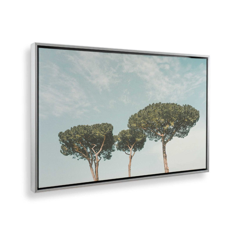 «Tall Tranquility», reproduction sur toile, Cadre flottant en chrome poli, H 24,75 po x l 36,75 po x P 1,75 po