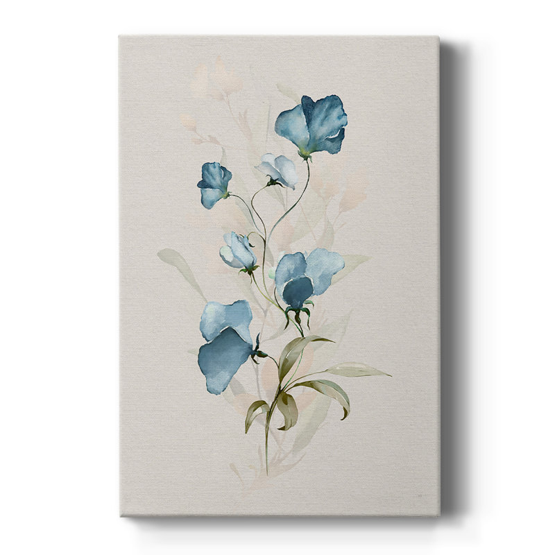 Sweet Pea I - galerie Cavas