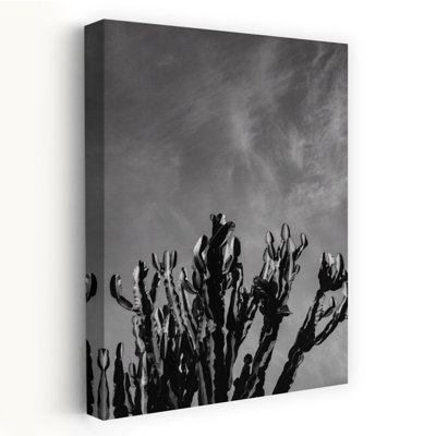 Art contemporain, paysage contemporain, cactus abstrait, art de la nature