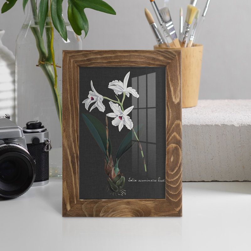 Orchidée sur ardoise V - reproduction de cadre photo simple, H 6 po x l 4 po x P 1 po, Noyer
