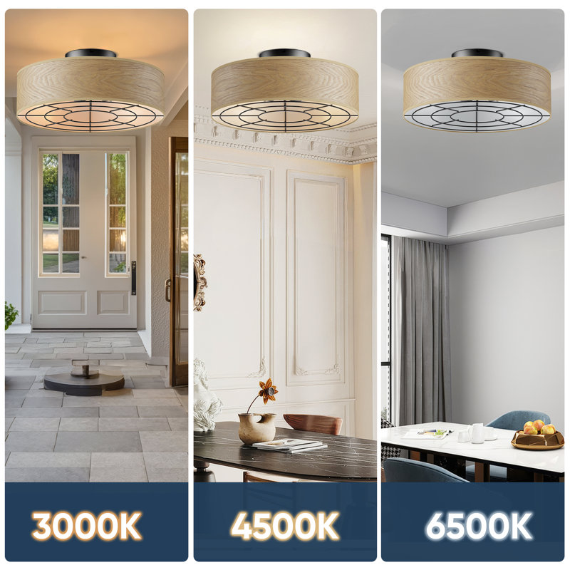 Ventilateurs de plafond avec lumières télécommandées, ventilateurs de plafond de petite ferme avec lumière