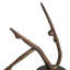 Sculpture Kulpeksa Concave
