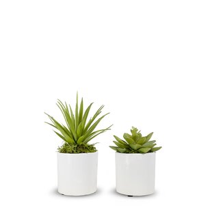 Set of 3, Assorted Fake Succulents in Pot, 5 Assorted Spotted Aloe Vera Artificial  Plants with Pots