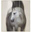 Animals Print by Studio L57 Narrative-1462223838