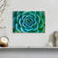 «Live Succulent», reproduction sur toile-92279631