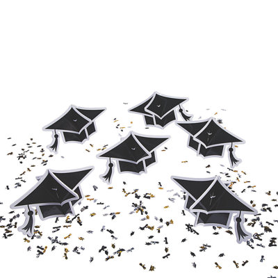 Birds in the Garden 14 Piece Disposable Paper Plastic Paper Graduation Decoration Kit Disposable Party Supplies for Guests
