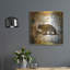 «High Country Bear» par Lightbox Journal-909869362