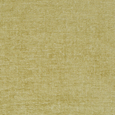 Robert Allen @Home Plushtone Fabric