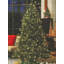 Pre-Lit Savannah Spruce Medium Artificial Christmas Tree - 7.5' - Clear Lights