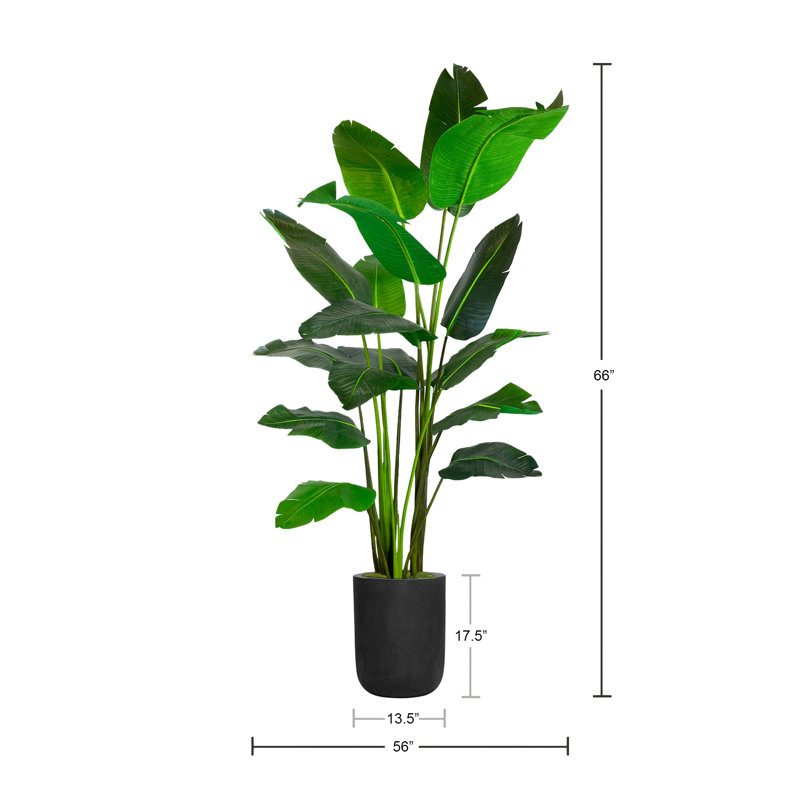 Arbre de bananier artificiel en pot 66 po Ozbourn, Noir