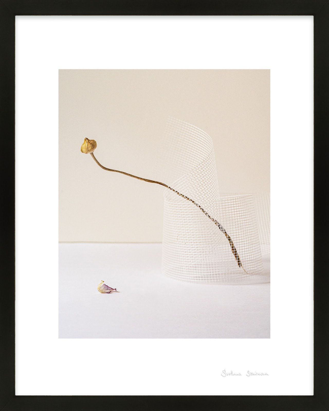Lombard "Balance 2" Photo Print, Black, 30" H x 24" W x 1.25" D