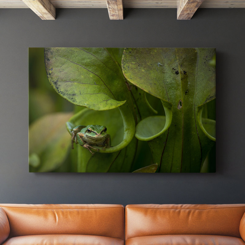 Refuge Arboreal - galerie Cavas sur mesure, H 12 po x l 8 po