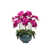 Rouge rose n'est pas disponible