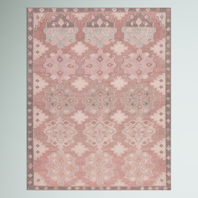 Asuncin Polyester Machine Washable Performance Rug