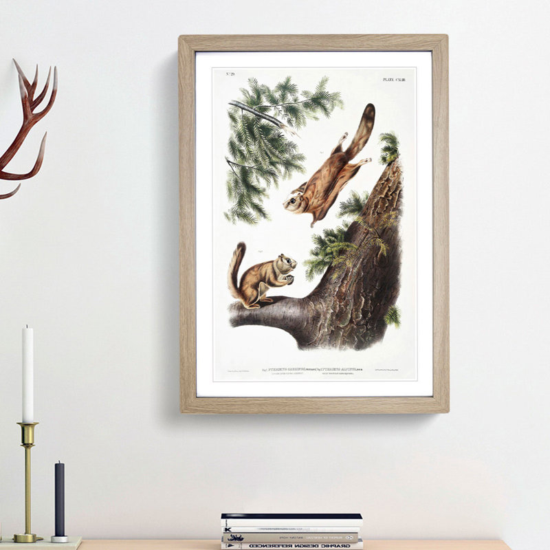 Two Flying Squirrels by J.W. Audubon - Picture Frame Painting Print, 48cm H x 36cm W x 2cm D, Oak Framed