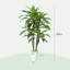 Anthoula 120cm Faux Tree