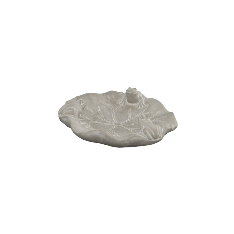 Cement Frog Bath Gray