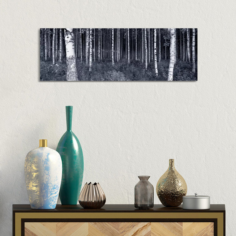 Birch Trees In A Forest, Finland - Wrapped Canvas Panoramic Print, 30.48 cm H x 91.44 cm W x 1.91 cm D