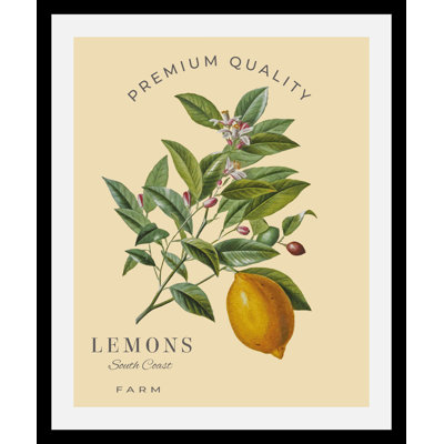 Lemons - Single Picture Frame Print