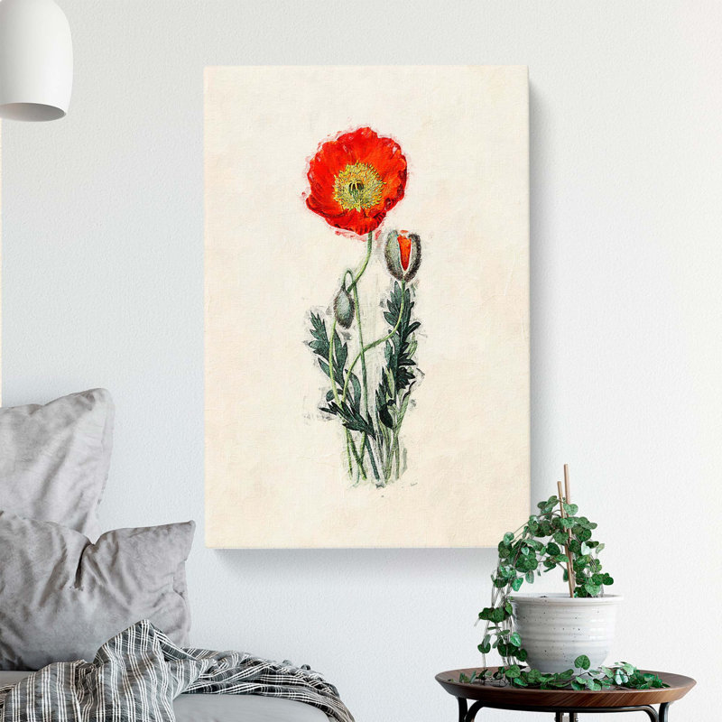 Illustration of a Poppy Flower - Wrapped Canvas, 50cm H x 35cm W x 3cm D