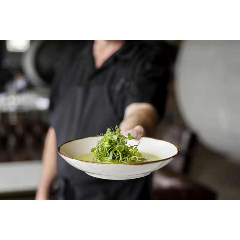 Fortessa Spice Salt 32 oz. Serena Coupe Pasta Bowl