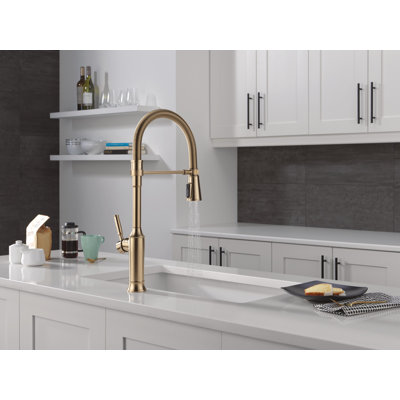 Renaldi Pro Style Commercial Kitchen Faucet, Pull Down Sprayer Kitchen Sink Faucet Brushed Gold