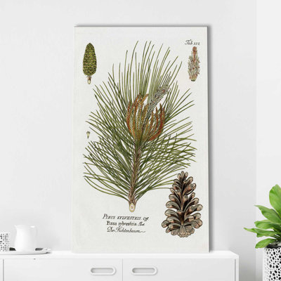Épinette botanique par Kelly Donovan - Peinture