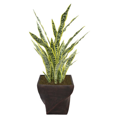 45.50'' Faux Agave Tree in Fiberstone Planter