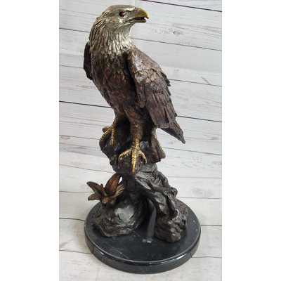 Aigle chauve américain Juvraj