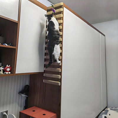 Échelle de corde pour chat