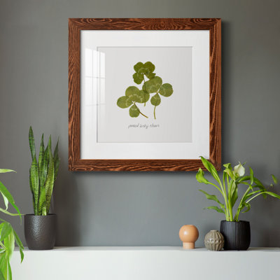 «Pressed Clover II», reproduction encadrée de qualité supérieure - prête à être accrochée