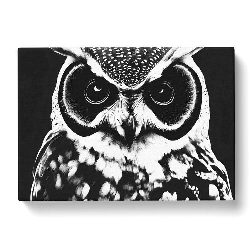 XXX-H1022-WF-6555X Owl Portrait Monochrome Vol.7 - Wrapped Canvas Print, 35cm H x 50cm W x 3cm D
