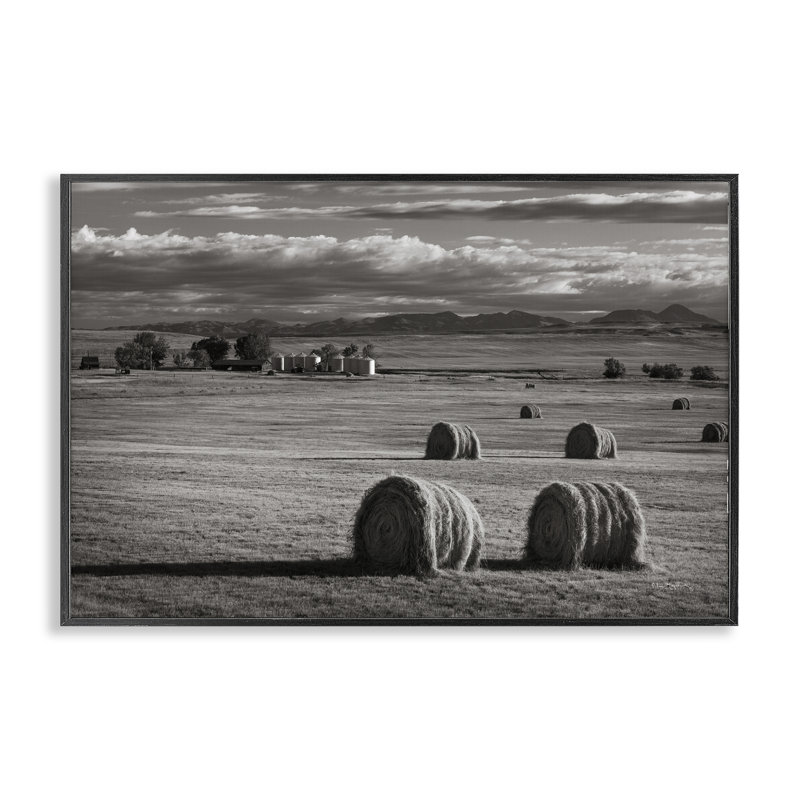 Giclées d'art Montana par Alan Majchrowicz, Montana, H 12 po x l 18 po, Giclée encadrée noir minuit