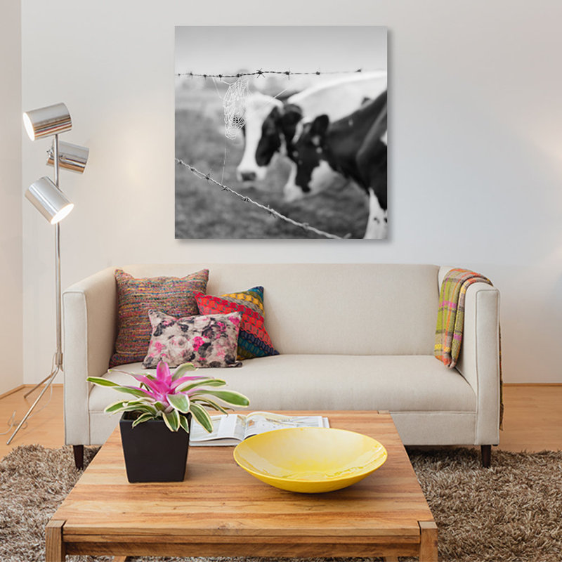 « holstein cow », photographie sur toile, H 26 po x l 26 po x P 1,5 po, Toile tendue, Pas de tapis