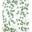 «Climbing Leaves - Green Living», impression encadrée avec passe-partout