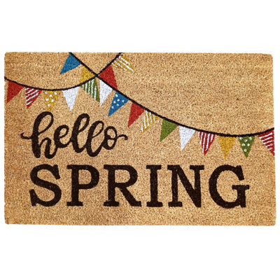 Aiyahna Non-Slip Doormat