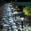 Solar Powered Pathway Light Pack