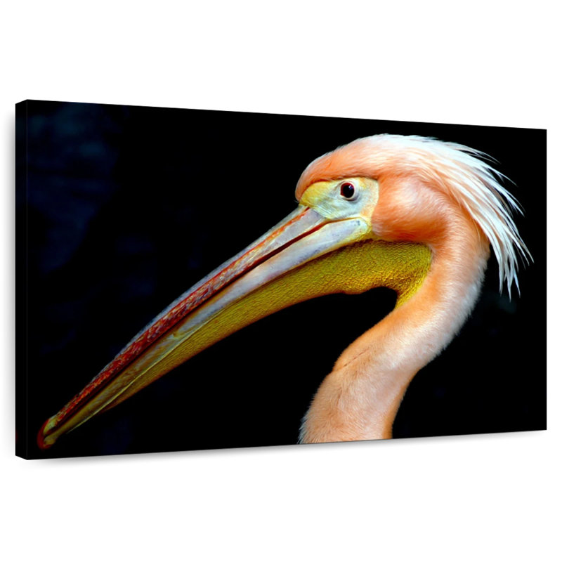 Peach Pelican Profile, 20" H x 30" W