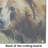 Grizzly Bear Glass Cutting Board Large