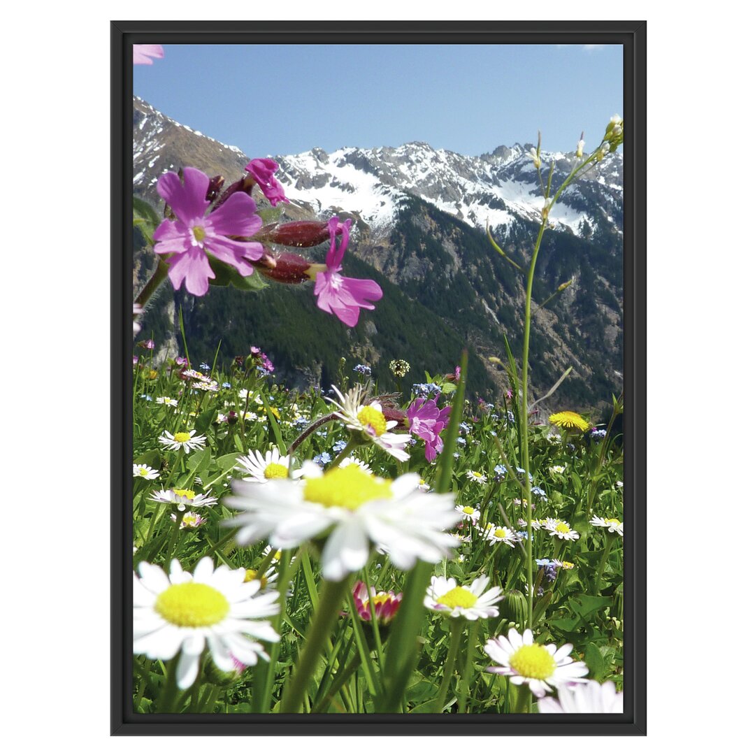 Gerahmtes Wandbild Wunderschöne Blumen Alpenwiese