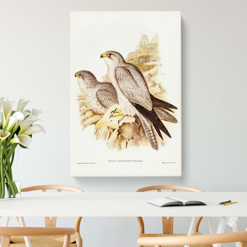 Grey Falcons by Elizabeth Gould - Wrapped Canvas Painting, 76cm H x 50cm W x 3cm D