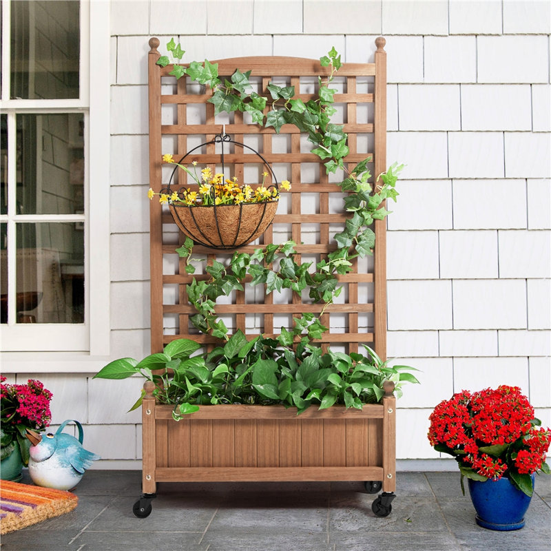 Raised Garden Bed with Trellis