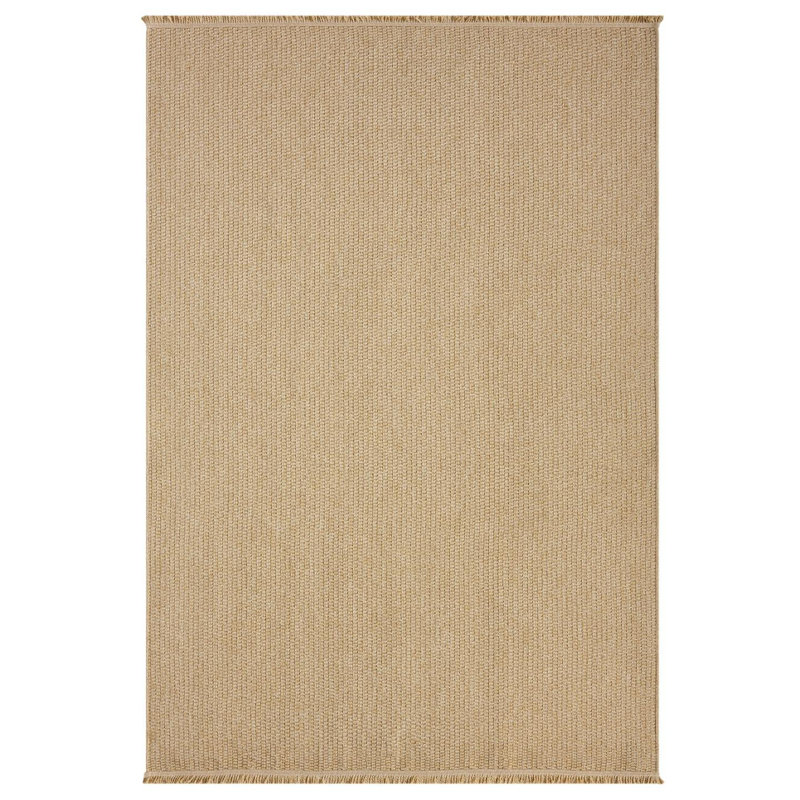 Modern Farmhouse Fringed Area Rug, Rectangle 6' x 9'