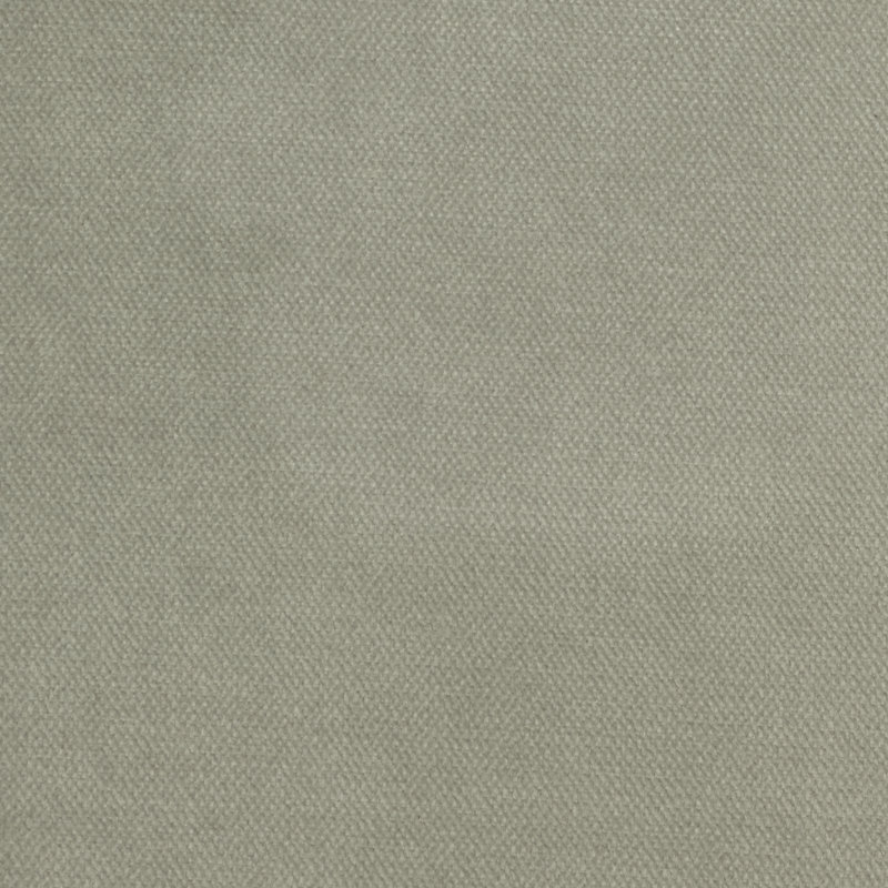 Velours de satin de coton Belvedere-Byron, Murmure