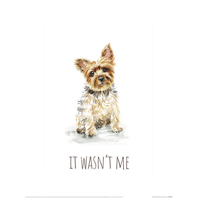 Yorkshire Terrier by Louise Nisbet - No Frame Painting