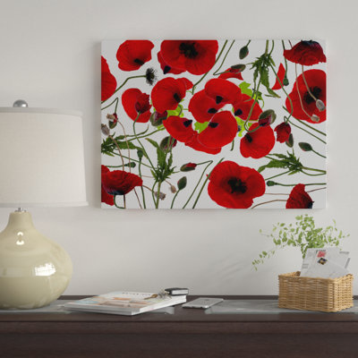 " Poppy Flower " by Ata Alishahi