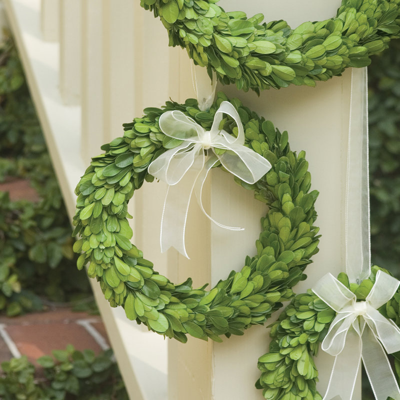 Preserved Boxwood Wreath